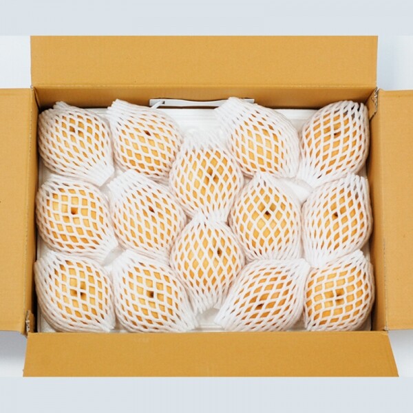 양양청마농원,양양청마농원 낙산배(원황배) 7.5kg , 5kg