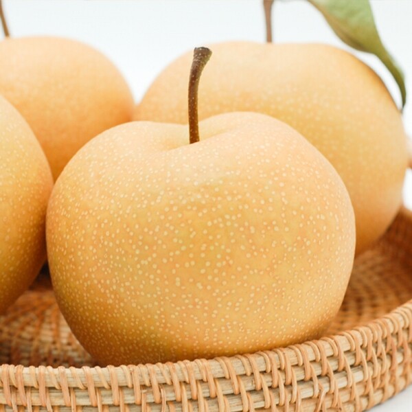 양양청마농원,양양청마농원 낙산배(원황배) 7.5kg , 5kg